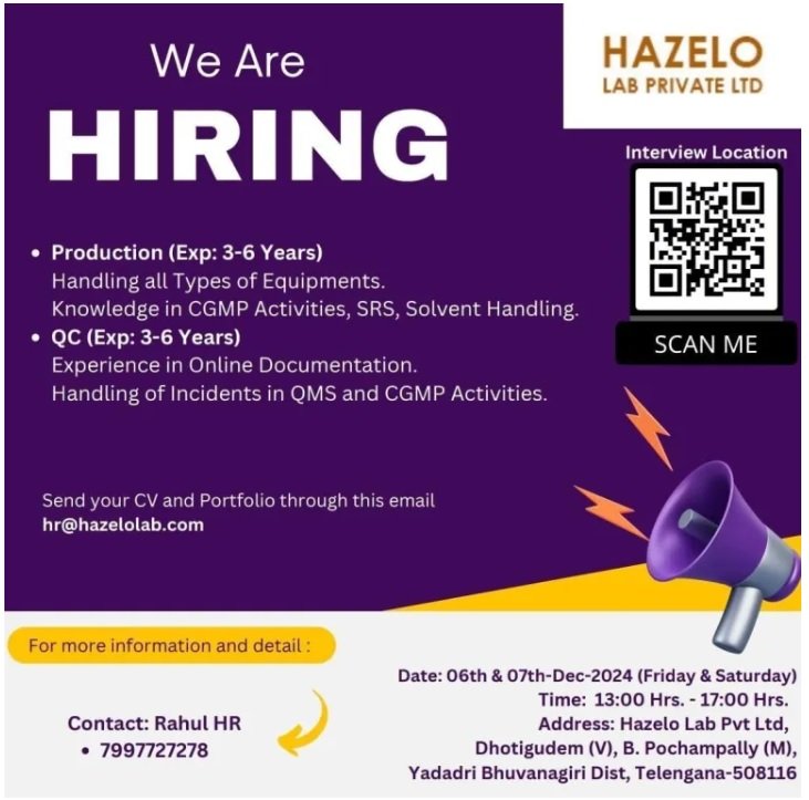 Indeed Jobs  HAZELO LAB PRIVATE LTD-Interview